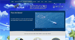 Desktop Screenshot of funflights.com
